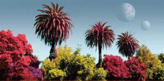 Scientists create catalog of earthly life forms to help search for alien biology Scientists create catalog of earthly life forms to help search for alien biology