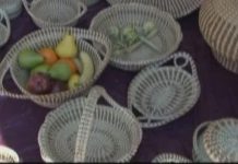 Sweetgrass mosquito repellent found that is as good as DEET Sweetgrass mosquito repellent found that is as good as DEET