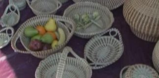 Sweetgrass mosquito repellent found that is as good as DEET Sweetgrass mosquito repellent found that is as good as DEET