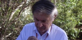 Asteroid crater discovered in Australia that is 240 miles wide Asteroid crater discovered in Australia that is 240 miles wide