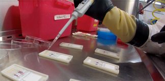 MIT researchers develop fastest test for Ebola to date MIT researchers develop fastest test for Ebola to date