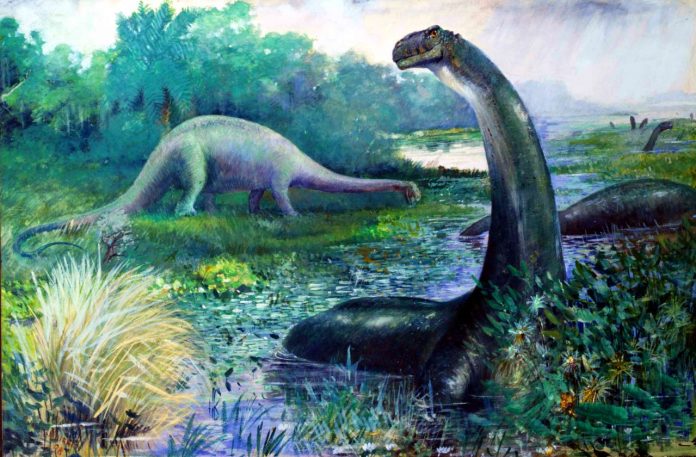 Paleontologists resurrect Brontosaurus as a unique species