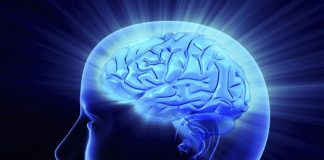 The human brain has always benefited from a ‘tune’ up The human brain has always benefited from a ‘tune’ up