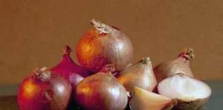 Chinese researchers create artificial muscle tissue from onion Chinese researchers create artificial muscle tissue from onion