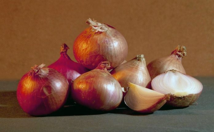 Chinese researchers create artificial muscle tissue from onion