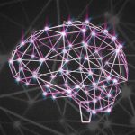 First proof that brain defect caused by mutation in fatty acid transport First proof that brain defect caused by mutation in fatty acid transport