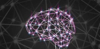 First proof that brain defect caused by mutation in fatty acid transport First proof that brain defect caused by mutation in fatty acid transport