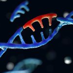 Genetic mutation discovered that causes anorexia nervosa Genetic mutation discovered that causes anorexia nervosa