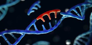 Genetic mutation discovered that causes anorexia nervosa Genetic mutation discovered that causes anorexia nervosa