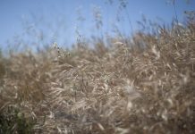 Global warming fight breaks out on the right Global warming fight breaks out on the right