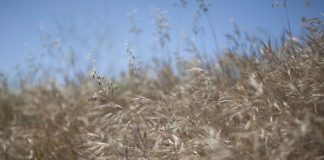 Global warming fight breaks out on the right Global warming fight breaks out on the right