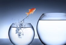 How is Change Management a Business Process Improvement Tool