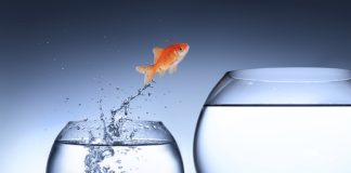 How is Change Management a Business Process Improvement Tool How is Change Management a Business Process Improvement Tool