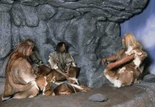 Neanderthals cut the bodies of their dead for ritual or cannibalism Neanderthals cut the bodies of their dead for ritual or cannibalism