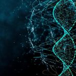 Chemist adds new letters to genetic code but will it spell boom or doom Chemist adds new letters to genetic code but will it spell boom or doom