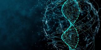 Chemist adds new letters to genetic code but will it spell boom or doom Chemist adds new letters to genetic code but will it spell boom or doom