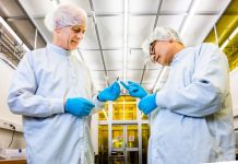 Engineers develop first practical biodegradable transistors Engineers develop first practical biodegradable transistors