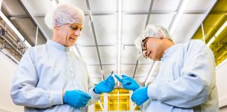 Engineers develop first practical biodegradable transistors Engineers develop first practical biodegradable transistors