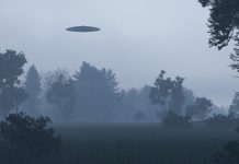 New research shows UFOs scare bears New research shows UFOs scare bears