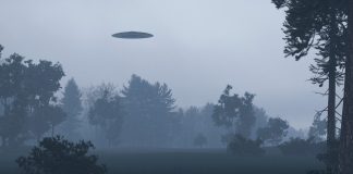 New research shows UFOs scare bears New research shows UFOs scare bears