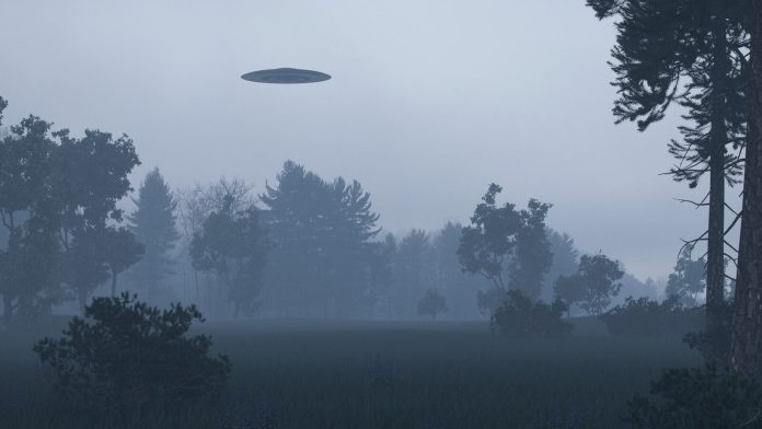 New research shows UFOs scare bears