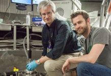 Physicists finally find magnetism in plutonium Physicists finally find magnetism in plutonium