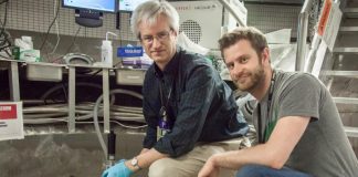 Physicists finally find magnetism in plutonium Physicists finally find magnetism in plutonium