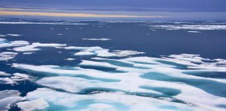 Why the Arctic did not have record-low sea ice this winter Why the Arctic did not have record-low sea ice this winter