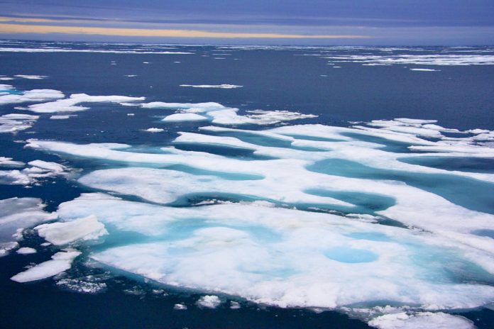 Why the Arctic did not have record-low sea ice this winter