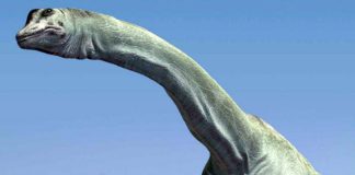 Dinosaur flatuence may have warmed the Mesozoic climate Dinosaur flatuence may have warmed the Mesozoic climate