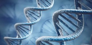 Epigentic ‘gaydar’ proven to be 70 percent accurate Epigentic ‘gaydar’ proven to be 70 percent accurate