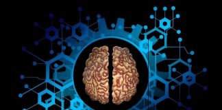 Functional connectivity found to uniquely identify individuals Functional connectivity found to uniquely identify individuals