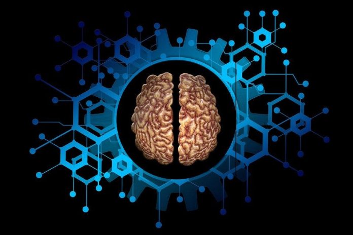 Functional connectivity found to uniquely identify individuals