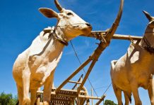 New research traces origin of wealth inequality to Neolithic Age New research traces origin of wealth inequality to Neolithic Age