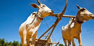 New research traces origin of wealth inequality to Neolithic Age New research traces origin of wealth inequality to Neolithic Age