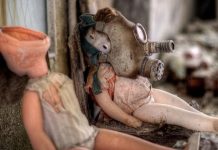 New study documents abundance of animals at Chernobyl New study documents abundance of animals at Chernobyl