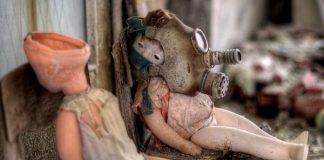 New study documents abundance of animals at Chernobyl New study documents abundance of animals at Chernobyl