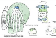 Oldest New World ritual decapitation discovered in Brazil Oldest New World ritual decapitation discovered in Brazil