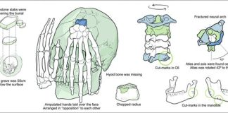 Oldest New World ritual decapitation discovered in Brazil Oldest New World ritual decapitation discovered in Brazil