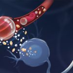 Researchers report first successful use of sound to control brain cells Researchers report first successful use of sound to control brain cells