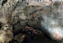 Study shows flour making is 32,000 years old Study shows flour making is 32,000 years old