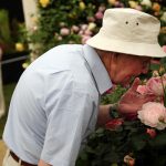 Decreased sense of smell in older adults can predict death Decreased sense of smell in older adults can predict death