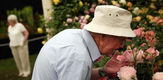 Decreased sense of smell in older adults can predict death Decreased sense of smell in older adults can predict death