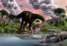 Revisiting the Dinosaur Extinction: New Insights into the Post-Asteroid Impact Scenario Revisiting the Dinosaur Extinction: New Insights into the Post-Asteroid Impact Scenario