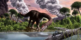 Revisiting the Dinosaur Extinction: New Insights into the Post-Asteroid Impact Scenario Revisiting the Dinosaur Extinction: New Insights into the Post-Asteroid Impact Scenario