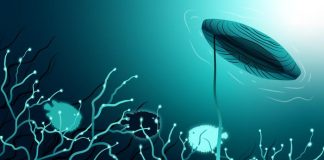 The Hidden Powerhouse: Reassessing the Crucial Functions of Our Cerebellar Nuclei The Hidden Powerhouse: Reassessing the Crucial Functions of Our Cerebellar Nuclei