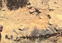 Tragic Discovery: Missing Hiker Found Dead with Dog Alive Beside Him After Seven Weeks Tragic Discovery: Missing Hiker Found Dead with Dog Alive Beside Him After Seven Weeks