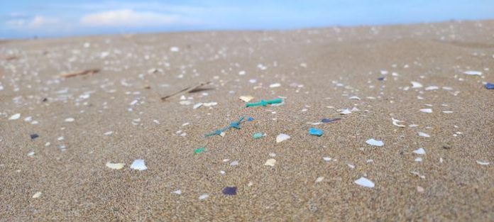 Unveiling the Widespread Microplastic Menace in River Mouth Ecosystems