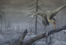 VUB Research Unveils Fine Particulates’ Role in Dinosaurs’ Extinction VUB Research Unveils Fine Particulates' Role in Dinosaurs' Extinction