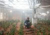 A real life space botanist comments on the potato garden in ‘The Martian’ A real life space botanist comments on the potato garden in 'The Martian'